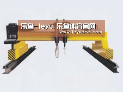 产品名称十九