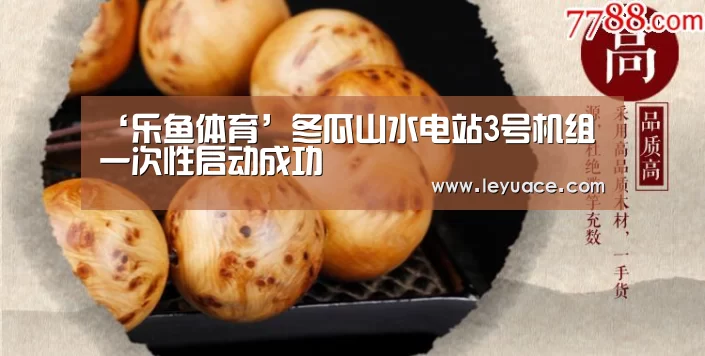 ‘乐鱼体育’冬瓜山水电站3号机组一次性启