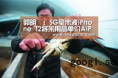 郭明錤：5G毫米波iPhone 12将采用高单价AiP AirPods Pro需