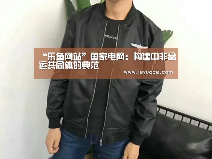 “乐鱼网站”国家电网:构建中非命运共同体的典范(图3) 乐鱼LEYU