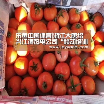 乐鱼中国体育|浙江大唐绍兴江滨热电公司“移动培训课堂”职工及时“充电”