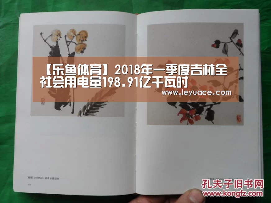 【乐鱼体育】2018年一季度吉林全社会用电量198.91亿千瓦时
