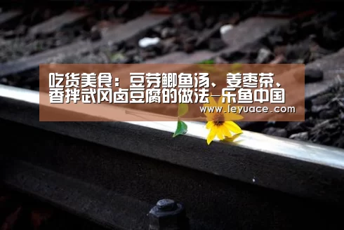 吃货美食:豆芽鲫鱼汤、姜枣茶、香拌武冈卤豆腐的做法-乐鱼中国体育(图2) 乐鱼中国体育