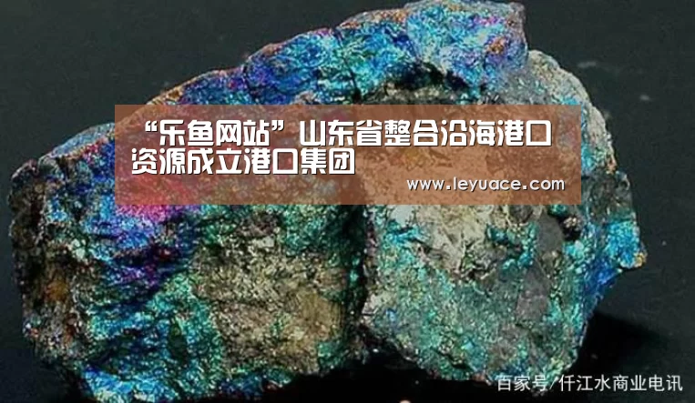 乐鱼体育