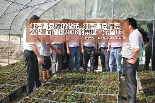 红枣蜜豆粽的做法_红枣蜜豆粽怎么做_石榴树2008的菜谱‘乐鱼LEYU’(图3) 乐鱼中国体育